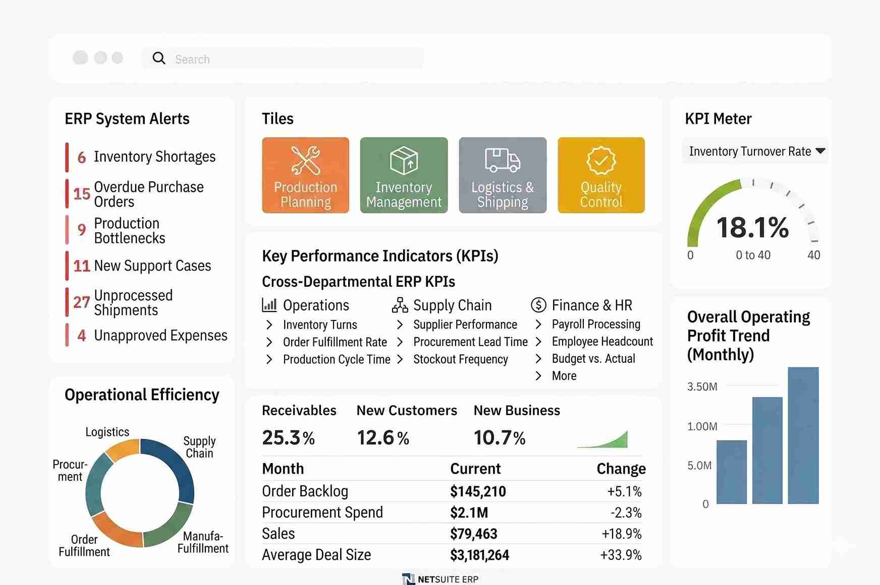 NetSuite ERP Solution Dashboard